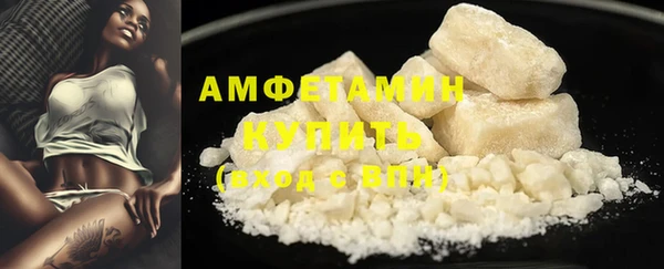 прущие грибы Аркадак