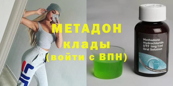 прущие грибы Аркадак