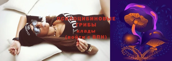 прущие грибы Аркадак