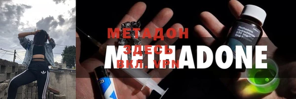 прущие грибы Аркадак