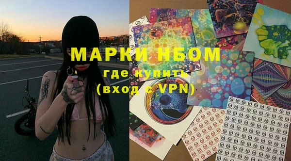 прущие грибы Аркадак